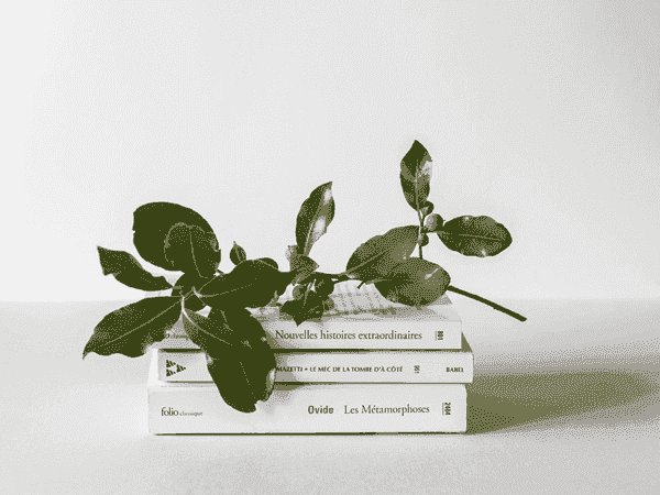 【高级版】功能齐全的DDOS攻击器