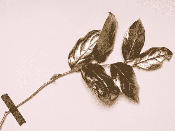 怎么去攻击一个网站与防护